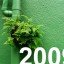 Yes to Green in 2009 Winners